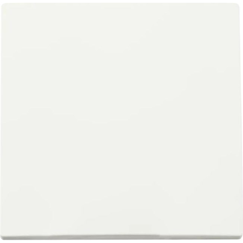 ION Industries E1 Balts matēts Taustiņš