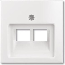 Basic55 balts Centrālā plate RJ45x2