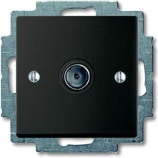 Basic55 chateau-black Rozete TV