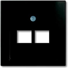 Basic55 chateau-black Centrālā plate RJ45x2
