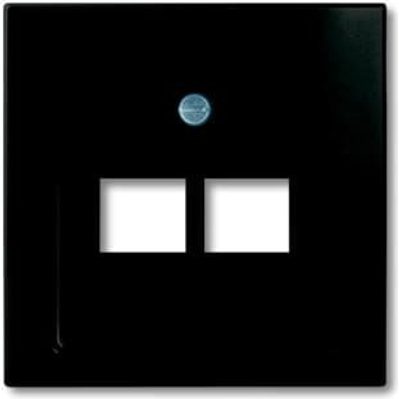 Basic55 chateau-black Centrālā plate RJ45x2
