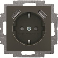 Basic55 chateau-black Rozete ar USB Tips A+C