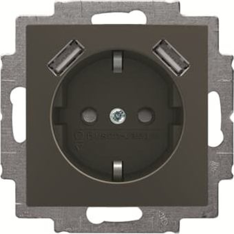 Basic55 chateau-black Rozete ar USB Tips A+C