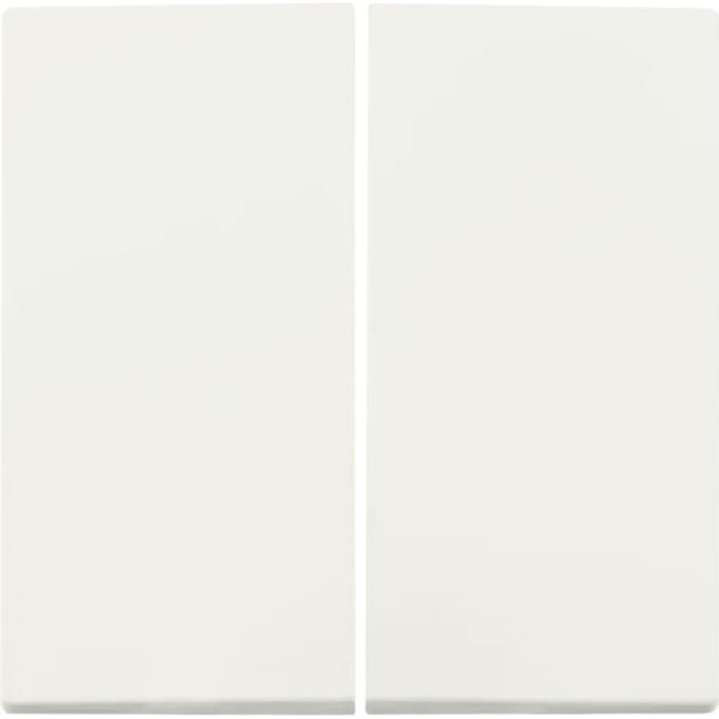 ION Industries E1 Balts matēts Taustiņš 1+1