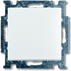 Basic55 balts Tasterslēdzis