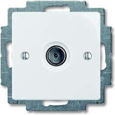 Basic55 balts Rozete TV