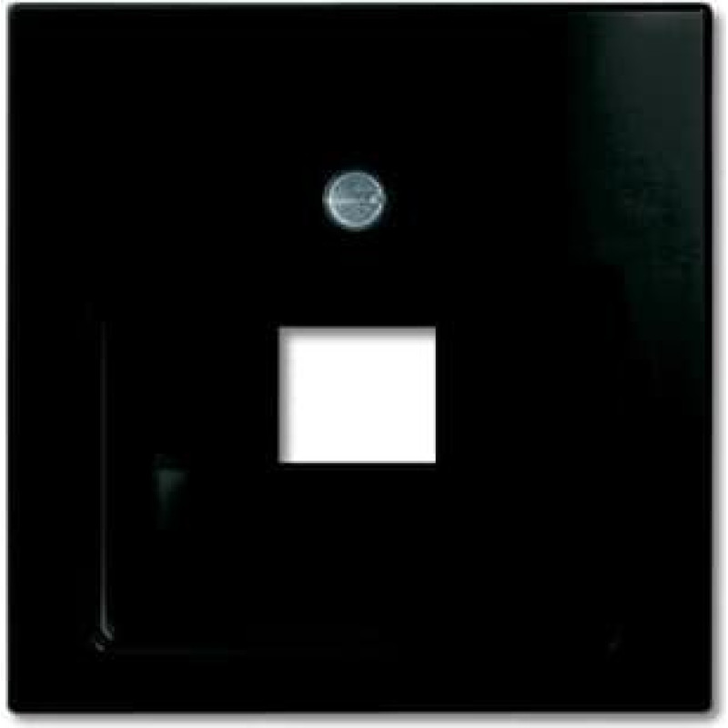 Basic55 chateau-black Centrālā plate RJ45