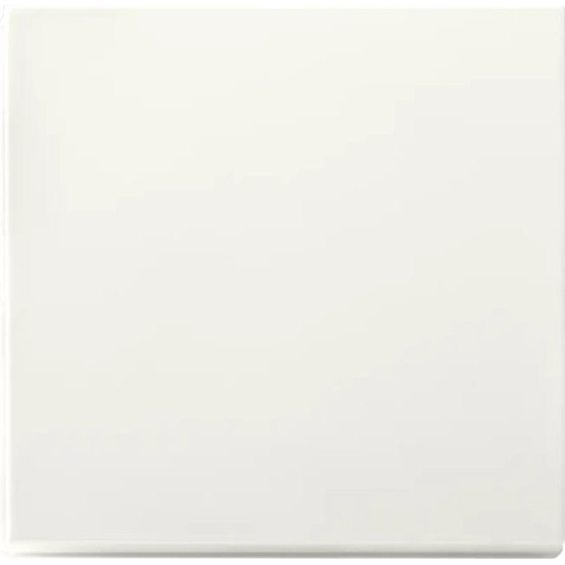 ION Industries V1/J1/D1 Balta matēta Centrālā plate Touch dimmerim