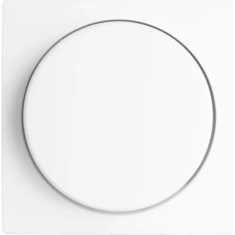 ION Industries E1 Balta Centrālā plate dimmerim