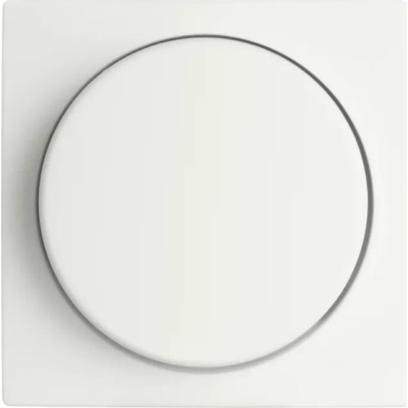 ION Industries E1 Balta matēta Centrālā plate dimmerim