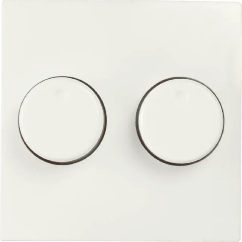 ION Industries E1 Balta matēta Centrālā plate Duo dimmerim