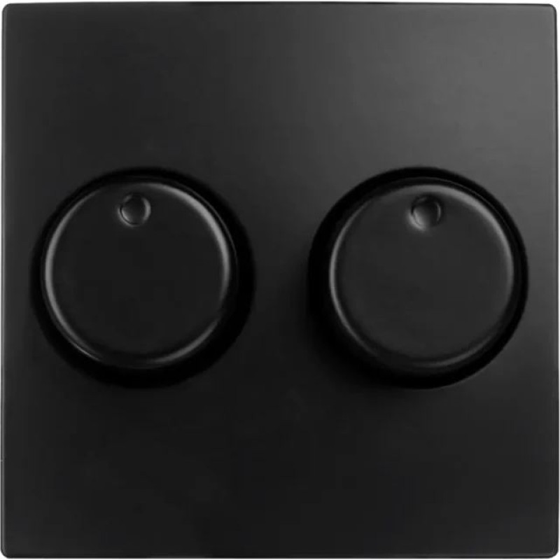 ION Industries E1 Melna matēta Centrālā plate Duo dimmerim