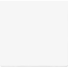 ION Industries V1/J1/D1 Balts Taustiņš