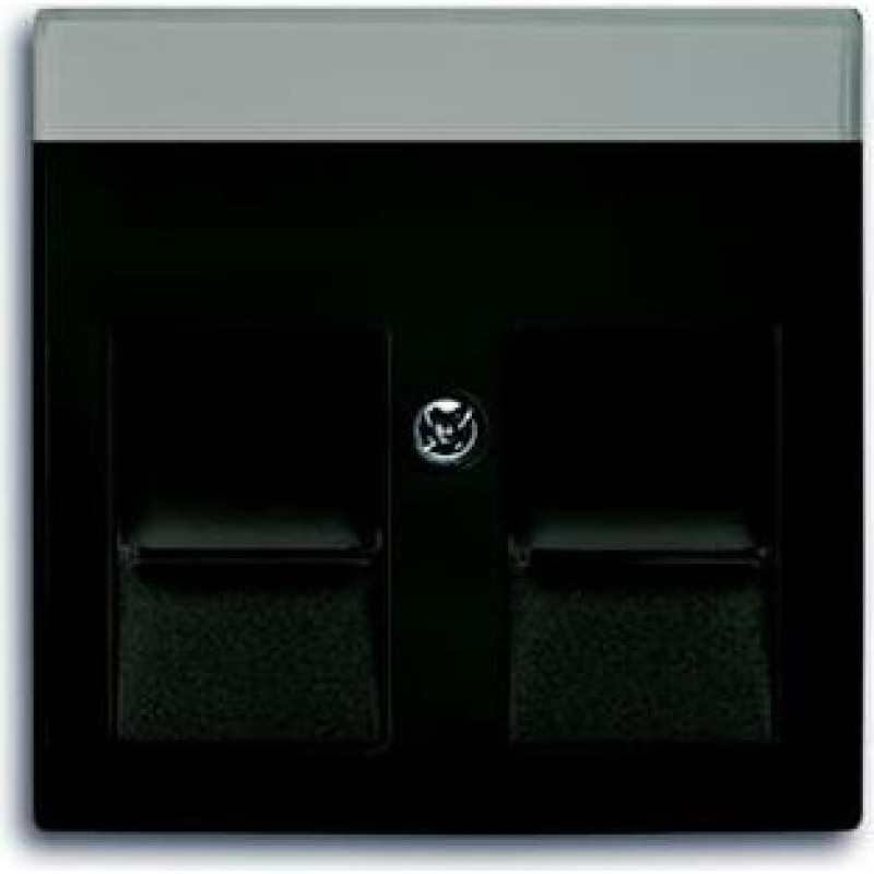 Basic55 chateau-black Centrālā plate RJ45x2 modulāra
