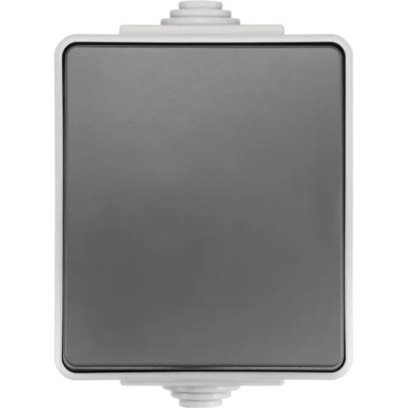 ION Industries Pelēks Pārslēdzis IP55