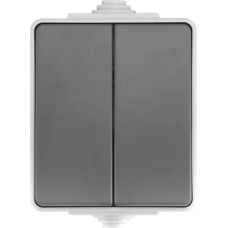 ION Industries Pelēks Slēdzis 1+1