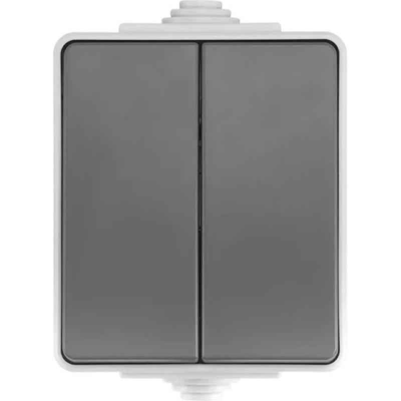 ION Industries Pelēks Slēdzis 1+1