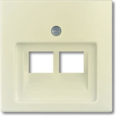 Basic55 bēšs Centrālā plate RJ45x2